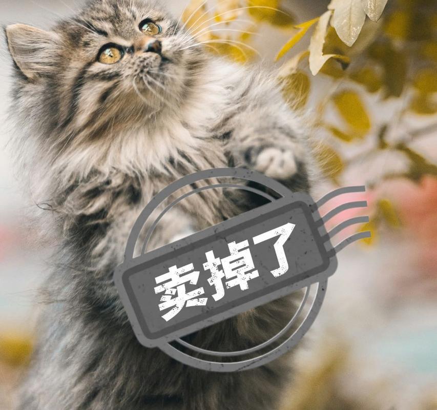 输入图