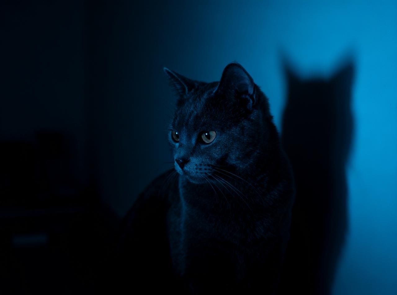 dark-toned